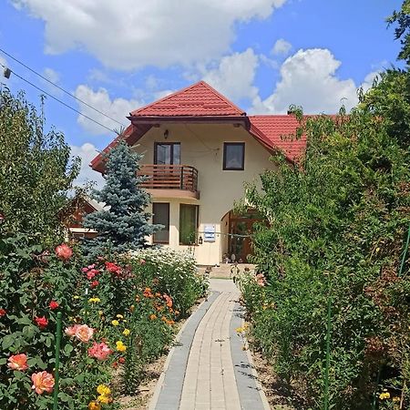 Agropensiunea Florina-Maria Branistea  Luaran gambar